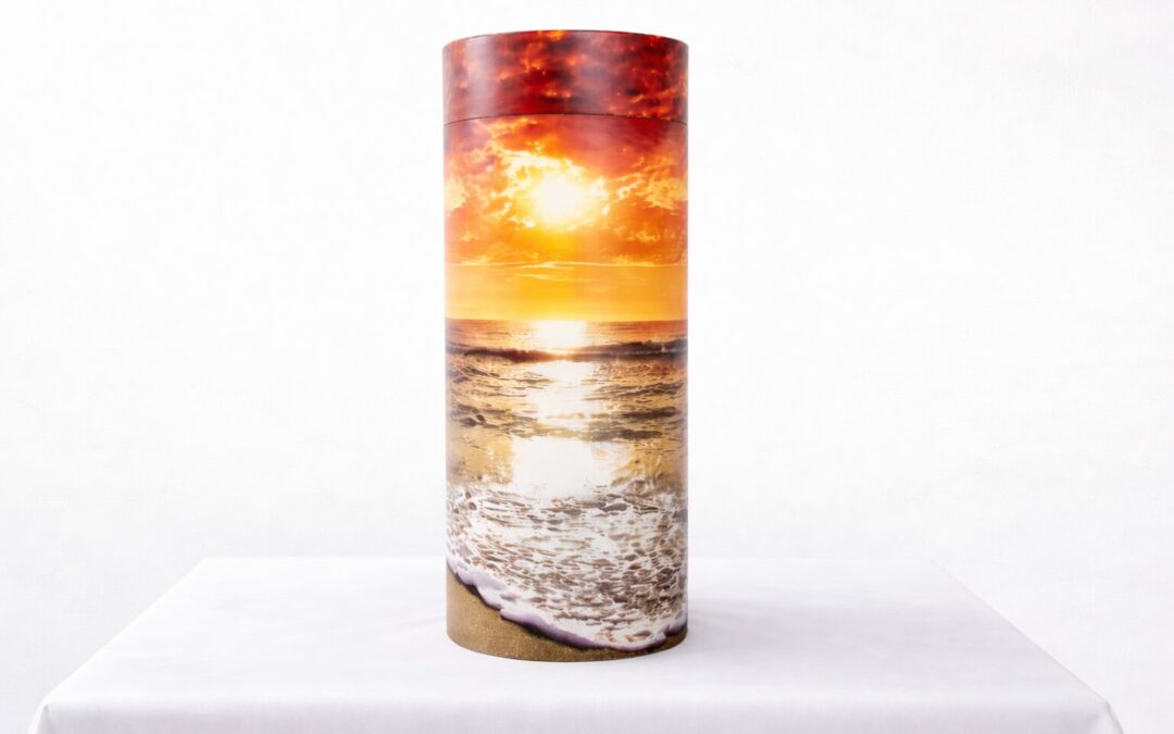 Urne carton océan/soleil