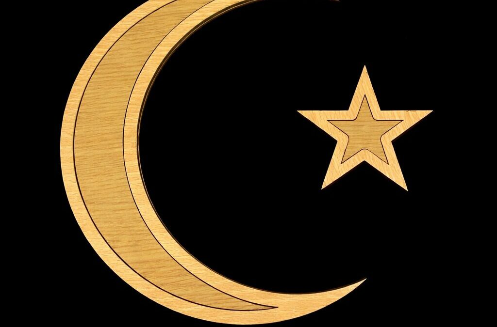 Croissant et Etoile en bois